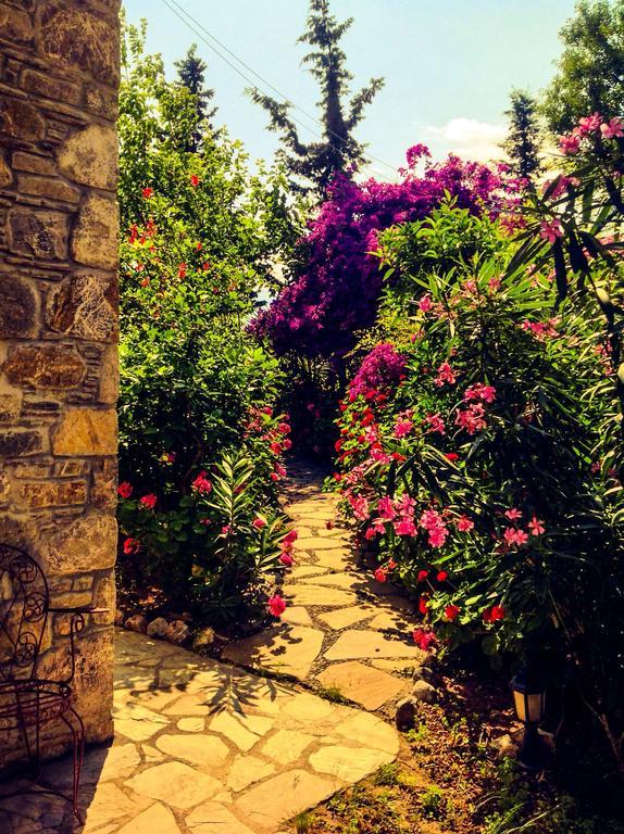 Eski Datca Evleri Extérieur photo